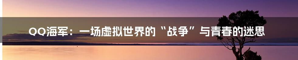 QQ海军:一场虚拟世界的“战争”与青春的迷思