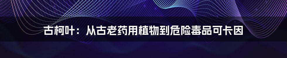 古柯叶:从古老药用植物到危险毒品可卡因
