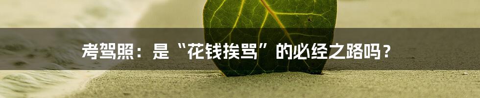 考驾照:是“花钱挨骂”的必经之路吗?
