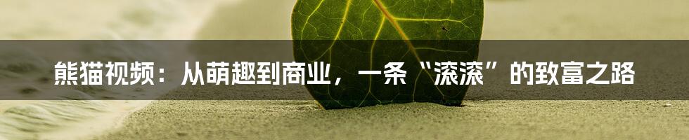 熊猫视频:从萌趣到商业,一条“滚滚”的致富之路
