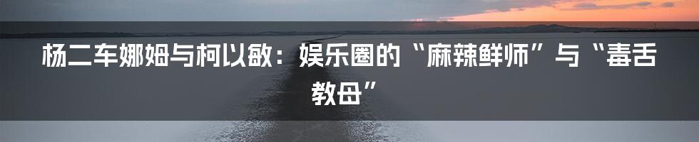 杨二车娜姆与柯以敏:娱乐圈的“麻辣鲜师”与“毒舌教母”