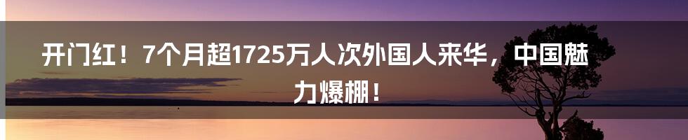 开门红！7个月超1725万人次外国人来华，中国魅力爆棚！