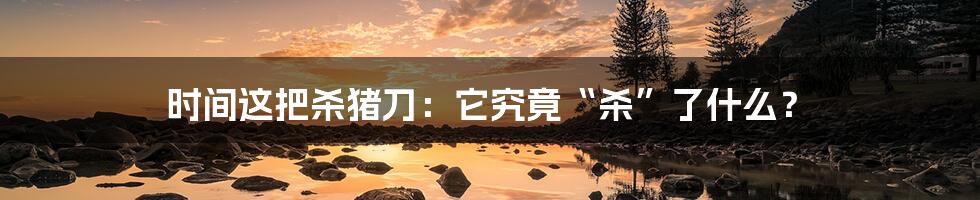时间这把杀猪刀:它究竟“杀”了什么?