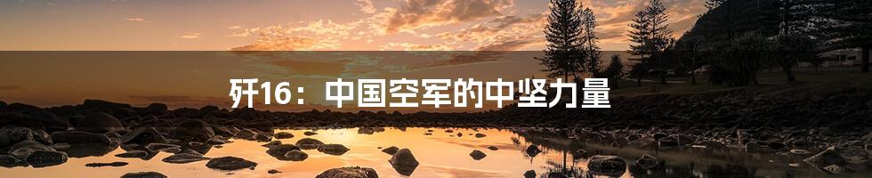 歼16:中国空军的中坚力量