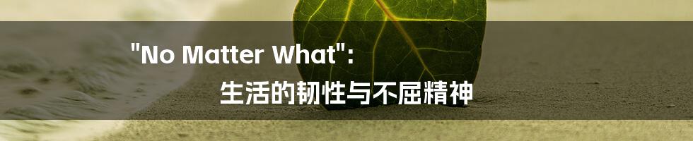 "No Matter What": 生活的韧性与不屈精神
