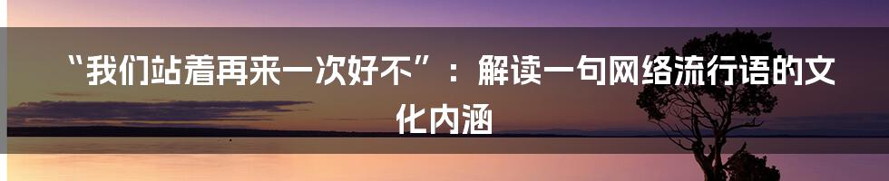 “我们站着再来一次好不”:解读一句网络流行语的文化内涵