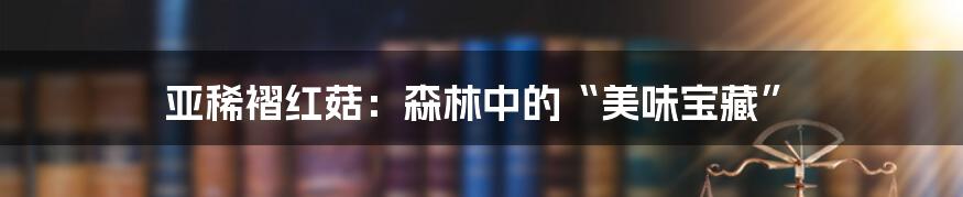 亚稀褶红菇:森林中的“美味宝藏”