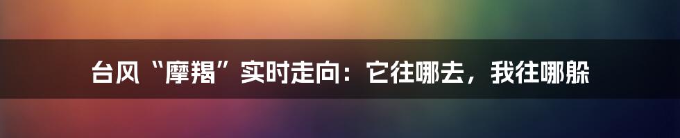 台风“摩羯”实时走向：它往哪去，我往哪躲