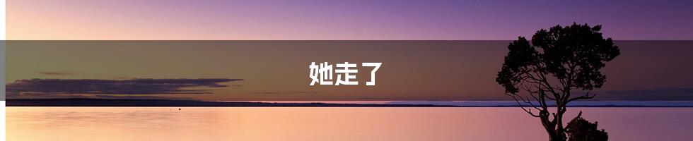 她走了