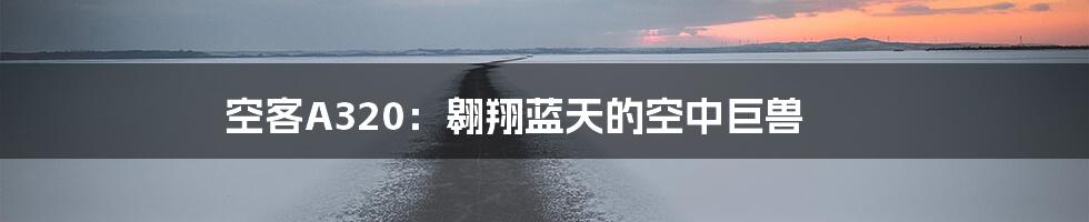 空客A320:翱翔蓝天的空中巨兽
