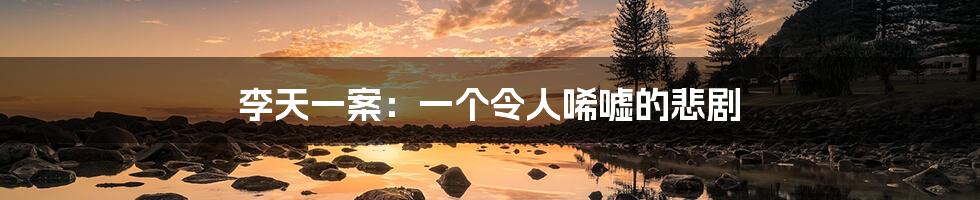 李天一案:一个令人唏嘘的悲剧