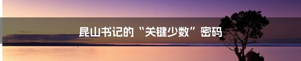 昆山书记的“关键少数”密码