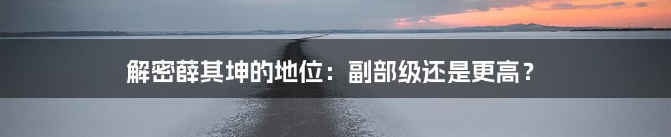 解密薛其坤的地位：副部级还是更高？