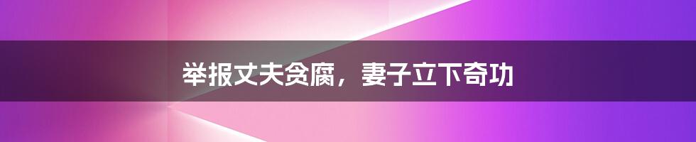 举报丈夫贪腐,妻子立下奇功