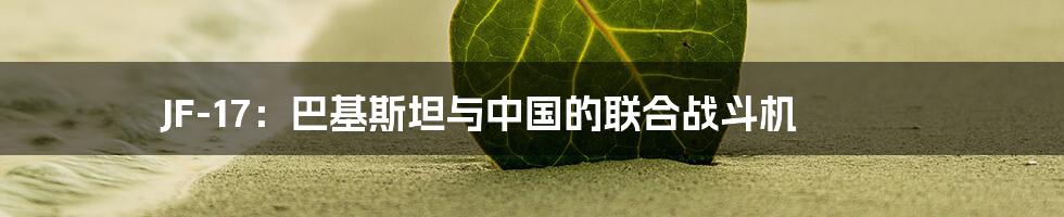 JF-17:巴基斯坦与中国的联合战斗机