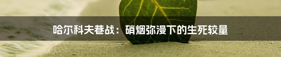 哈尔科夫巷战:硝烟弥漫下的生死较量