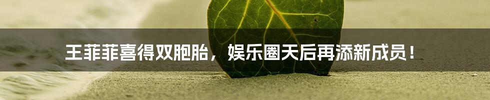 王菲菲喜得双胞胎,娱乐圈天后再添新成员!