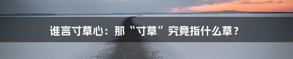 谁言寸草心:那“寸草”究竟指什么草?