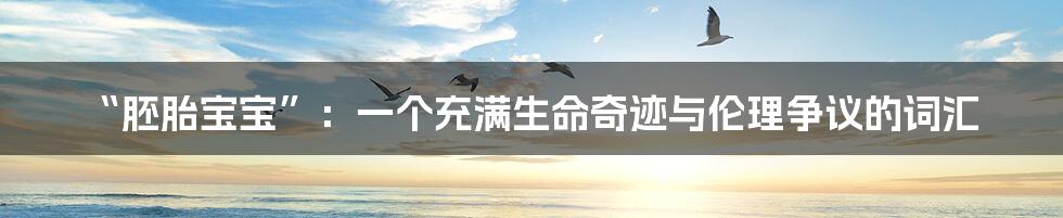 “胚胎宝宝”:一个充满生命奇迹与伦理争议的词汇