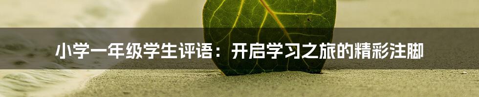 小学一年级学生评语：开启学习之旅的精彩注脚