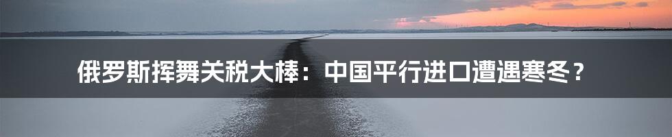 俄罗斯挥舞关税大棒:中国平行进口遭遇寒冬?