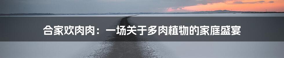 合家欢肉肉：一场关于多肉植物的家庭盛宴