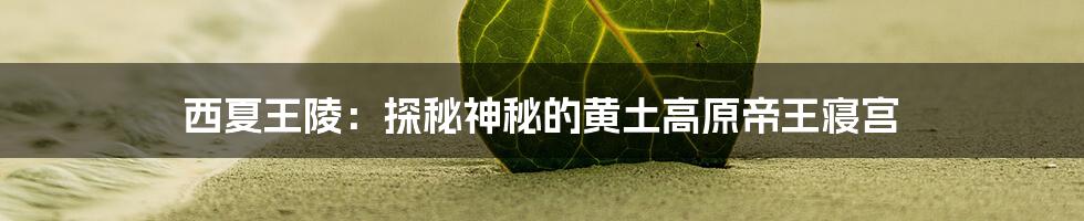 西夏王陵:探秘神秘的黄土高原帝王寝宫