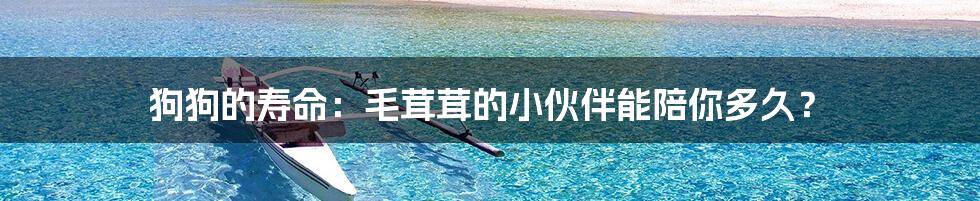 狗狗的寿命:毛茸茸的小伙伴能陪你多久?