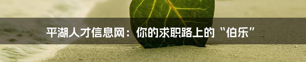 平湖人才信息网:你的求职路上的“伯乐”