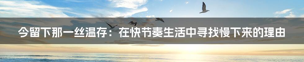 今留下那一丝温存:在快节奏生活中寻找慢下来的理由