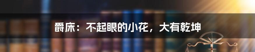 爵床:不起眼的小花,大有乾坤