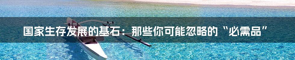 国家生存发展的基石:那些你可能忽略的“必需品”