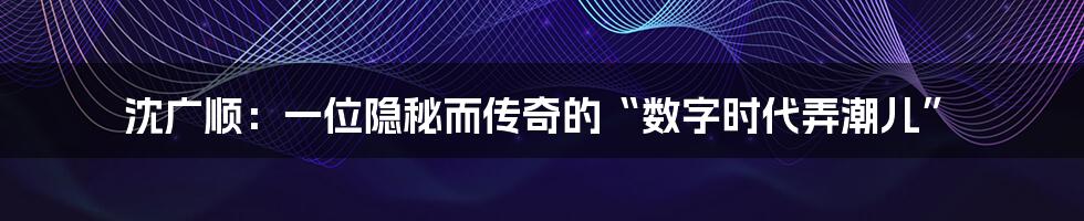 沈广顺:一位隐秘而传奇的“数字时代弄潮儿”