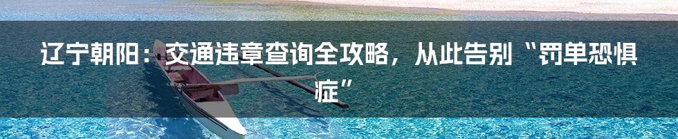 辽宁朝阳:交通违章查询全攻略,从此告别“罚单恐惧症”