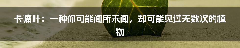 卡痛叶:一种你可能闻所未闻,却可能见过无数次的植物