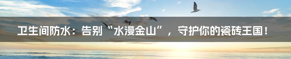 卫生间防水:告别“水漫金山”,守护你的瓷砖王国!