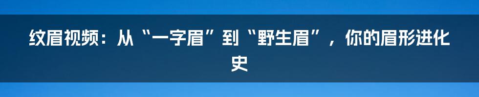 纹眉视频:从“一字眉”到“野生眉”,你的眉形进化史