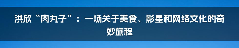 洪欣“肉丸子”:一场关于美食、影星和网络文化的奇妙旅程