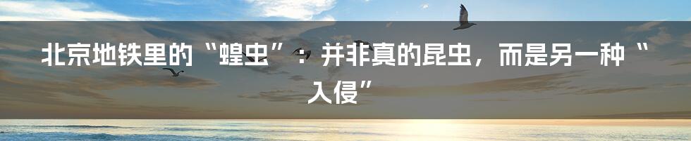 北京地铁里的“蝗虫”:并非真的昆虫,而是另一种“入侵”