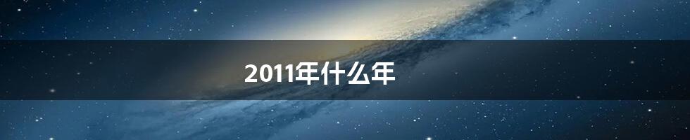 2011年什么年