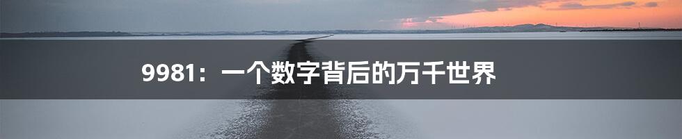 9981:一个数字背后的万千世界