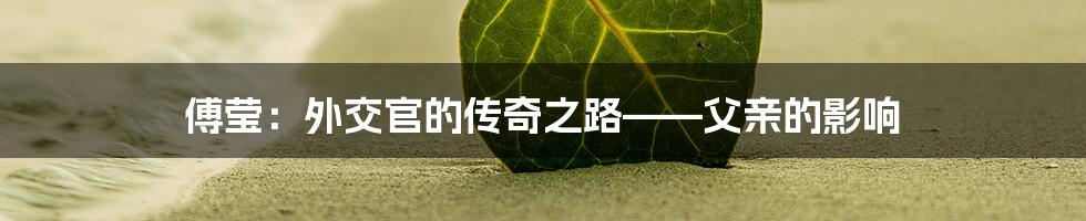 傅莹：外交官的传奇之路——父亲的影响