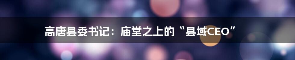 高唐县委书记:庙堂之上的“县域CEO”