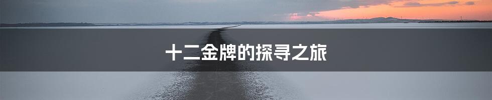 十二金牌的探寻之旅