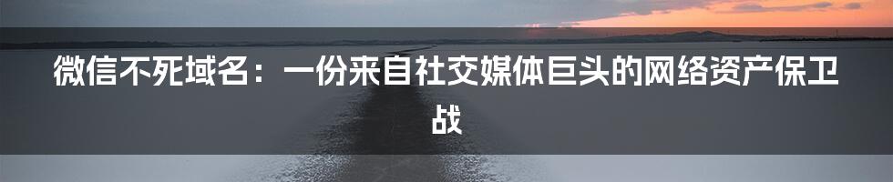微信不死域名:一份来自社交媒体巨头的网络资产保卫战