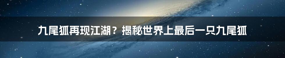 九尾狐再现江湖?揭秘世界上最后一只九尾狐
