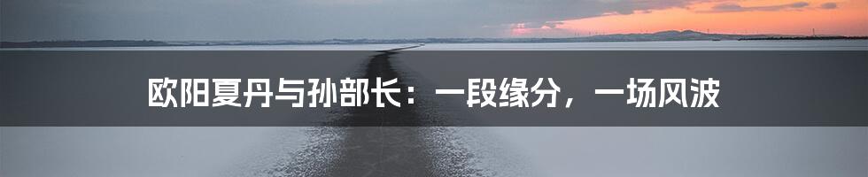 欧阳夏丹与孙部长:一段缘分,一场风波