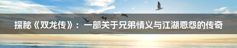探秘《双龙传》:一部关于兄弟情义与江湖恩怨的传奇