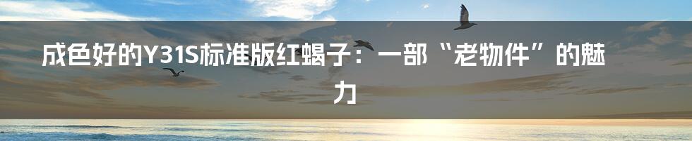 成色好的Y31S标准版红蝎子：一部“老物件”的魅力