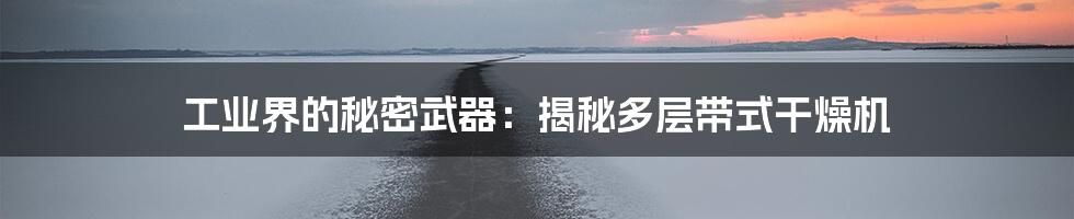 工业界的秘密武器:揭秘多层带式干燥机